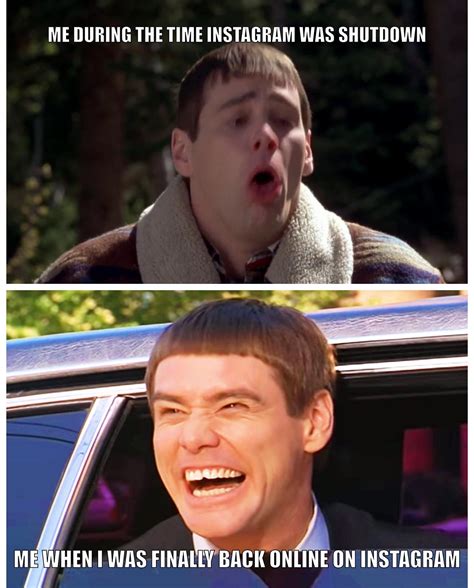 dumb and dumber memes|Dumb And Dumber Meme GIFs .